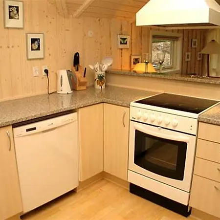 Vakantiehuis Holiday Skovbrynet C- 4079 *